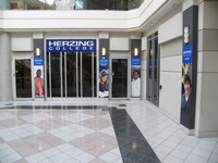 Herzing College